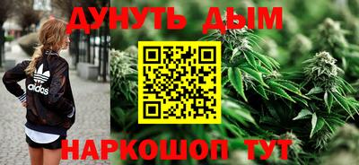 СК Краснодар